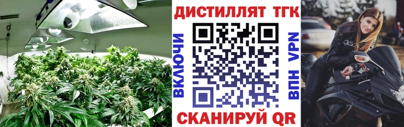 Дистиллят ТГК концентрат  блэк спрут как зайти  Цимлянск 